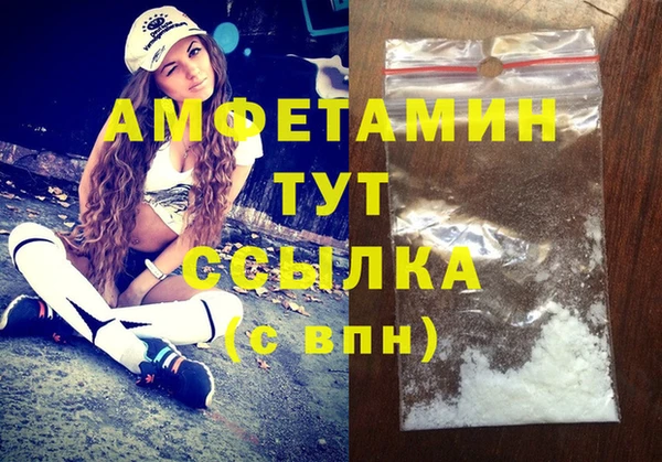 гидра Володарск