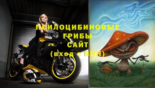 гидра Володарск