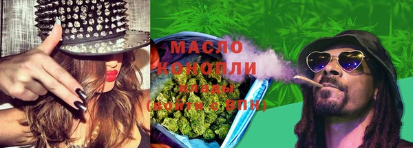 гидра Володарск