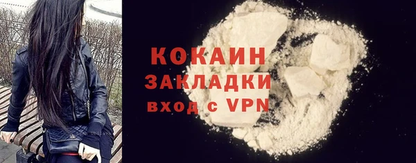 гидра Володарск