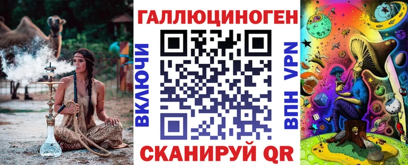как найти закладки  Петровск-Забайкальский  Псилоцибиновые грибы Psilocybe 